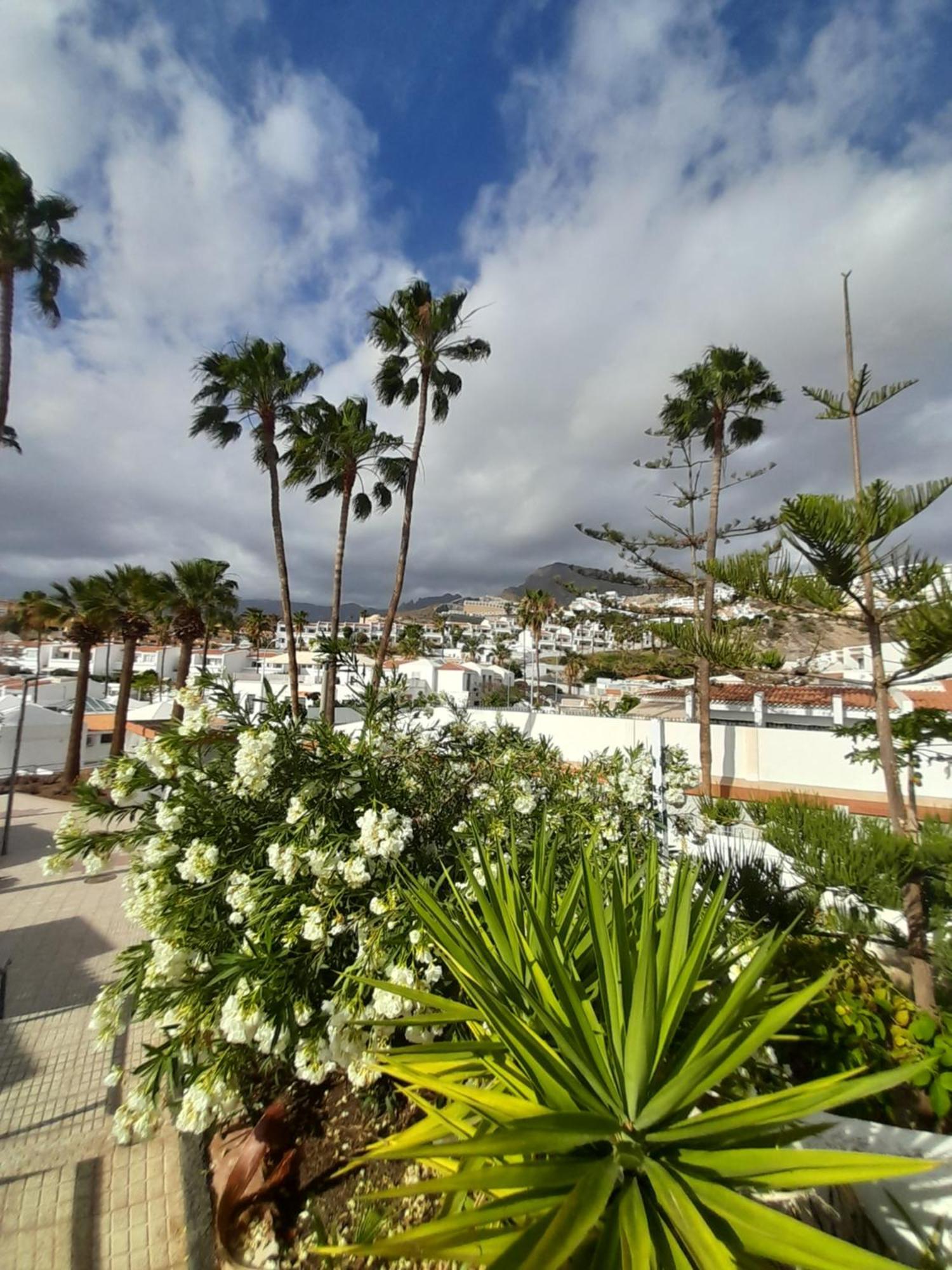 Apartments Island Village Heights Costa Adeje  Exteriér fotografie